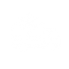 refrigerated transport icon
